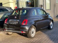 brugt Fiat 500 1,2 Lounge