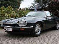 brugt Jaguar XJS coupe