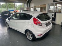 brugt Ford Fiesta 1,5 TDCi 95 Trend ECO