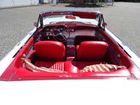 brugt Ford Thunderbird 6,4L