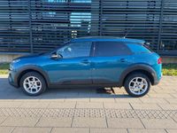 brugt Citroën C4 Cactus 1,6 BlueHDi 100 SkyLine