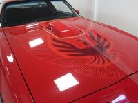 brugt Pontiac Firebird Trans AM