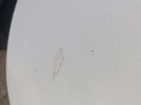 Brugt Chevrolet Captiva 2011 SUV