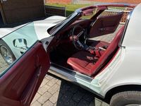 Brugt Chevrolet Corvette Stingray 350 HK (257 kW) 1973 Hvid