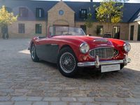 brugt Austin Austin-Healey 3000 Austin Austin Healey 3000 mk. I