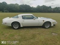 Brugt Pontiac Trans Am 1979 N/a