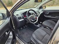 Brugt Kia Picanto 66 HK (48 kW) 2016 Grå Hatchback