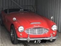 Brugt Austin Healey 100/6 1957 Rød Cabriolet