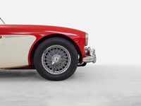 brugt Austin Healey 100/6 cabriolet