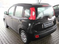 brugt Fiat Panda 1,2 69 Easy