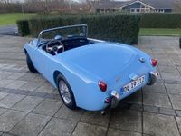 brugt Austin Healey Sprite mk1