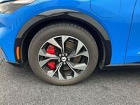 Brugt Ford Mustang Mach-E Extended Range 258 kW (351 HK) 2025 Blåmetal SUV