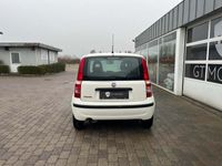 brugt Fiat Panda 1,2 69 Dynamic