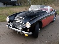 brugt Austin Healey 100/6 BN4 2+2