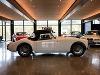 brugt MG MGA 