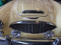 Brugt Austin Healey 100/6 1959 N/a Cabriolet