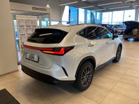 brugt Lexus NX450h+ NX 450h+ 2,5 Plugin-hybrid Business Plus 4WD 309HK 5d Trinl. Gear