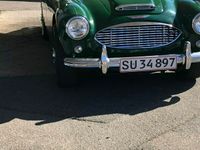 brugt Austin Healey 100/6 BN4