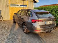 brugt Skoda Octavia 1.0 TSI 110 HK COMBI