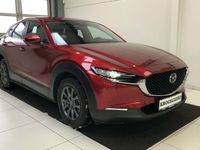 brugt Mazda CX-30 20 Skyactiv-G Mild hybrid Sense 150HK 5d 6g