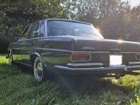 brugt Mercedes 250 S Klasse (W108/109)