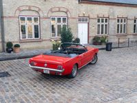 brugt Ford Mustang cabriolet