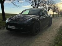 Brugt Tesla Model Y Standard Range 219 kW (299 HK) 2023 SUV