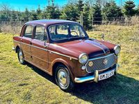 Brugt Fiat 1100 1961 Sedan