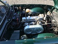 brugt Triumph TR6 TR6