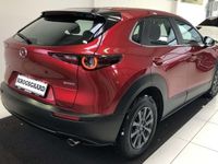 brugt Mazda CX-30 20 Skyactiv-G Mild hybrid Sense 150HK 5d 6g