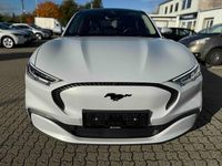Billede 3