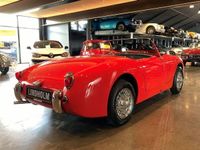 brugt Austin Healey Sprite Austin Healey Sprite