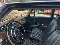 Brugt Mercedes 250 Classic 1966 Sedan