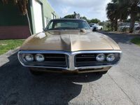 Brugt Pontiac Firebird 380 HK (279 kW) 1967 N/a