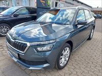 brugt Skoda Kamiq TSi 110 Style DSG