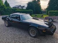 Brugt Pontiac Firebird 1980 Coupe