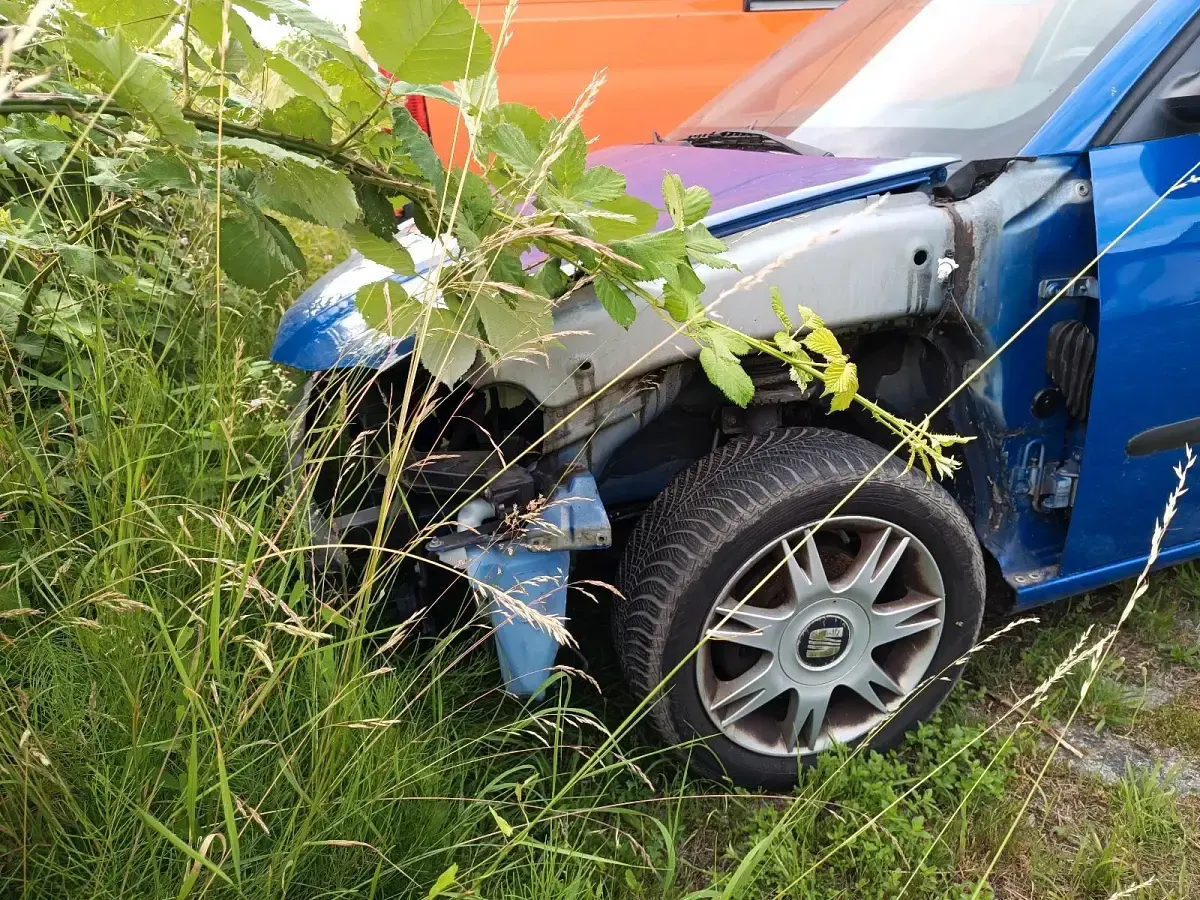 Gebraucht Seat Ibiza 64 PS (47 kW) 2005 Blau Kleinwagen