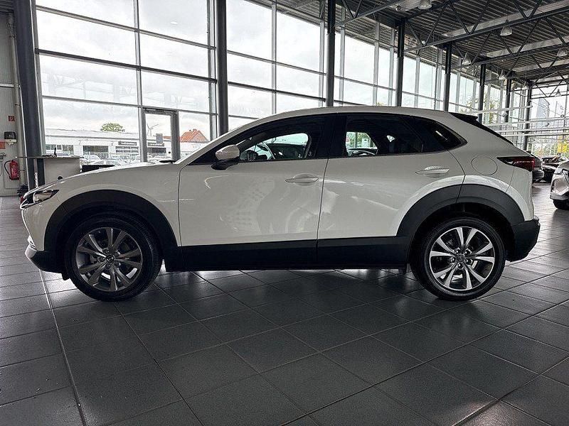 Neu Mazda CX-30 140 PS (102 kW) 2025 Weiß SUV