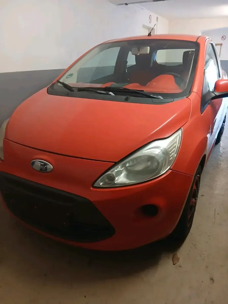 Usata Ford Ka 69 CV (50 kW) 2009 Rosso Utilitaria