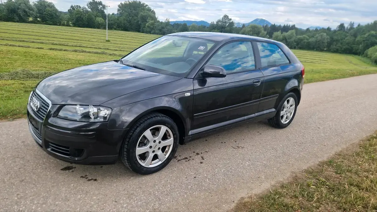 Gebraucht Audi A3 115 PS (84 kW) 2006 Schwarz Kleinwagen