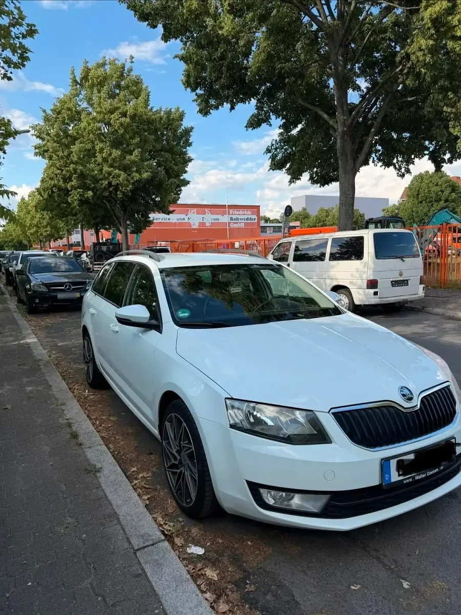 Gebraucht Skoda Octavia 110 PS (80 kW) 2016 Weiß Kombi