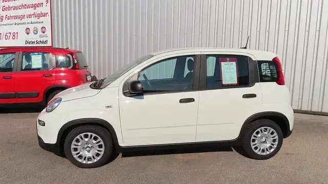 Gebraucht Fiat Panda 69 PS (50 kW) 2024 Weiß Kleinwagen