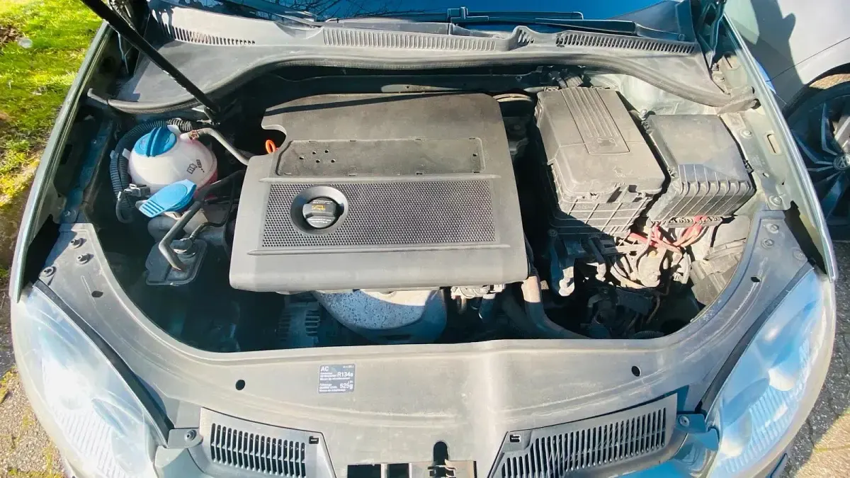 Gebraucht VW Golf V 80 PS (58 kW) 2004 Grün Kleinwagen