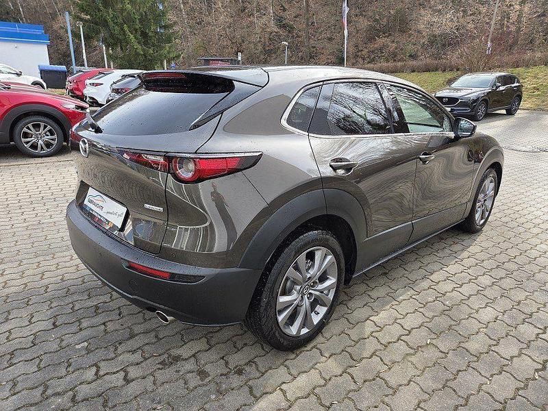 Gebraucht Mazda CX-30 Selection 150 PS (110 kW) 2022 Grau SUV