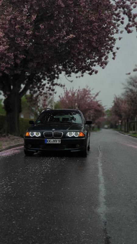 Grün Gebraucht 2001 BMW 330 M Sport Kombi | 6.000 € (Fairer Preis) - Bild 1/4