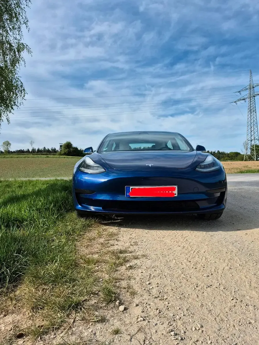 Brugt Tesla Model 3 Standard Range Plus 225 kW (306 HK) 2019 Blå Sedan