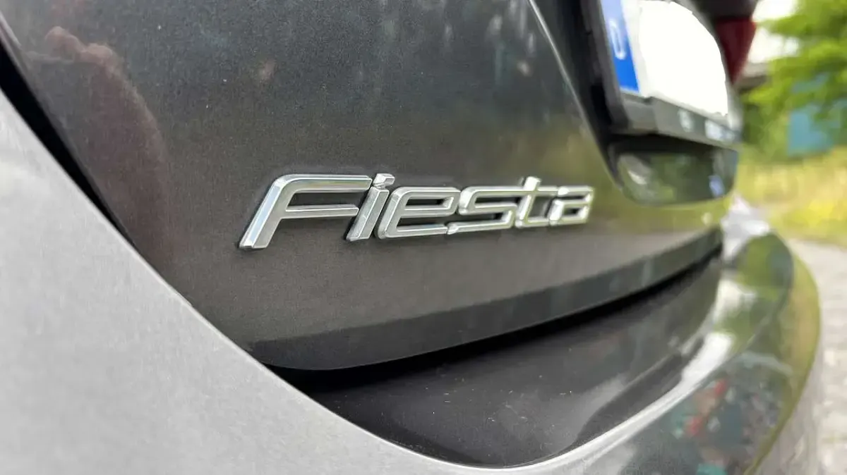 Gebraucht Ford Fiesta ST-Line 101 PS (74 kW) 2019 Grau Kleinwagen