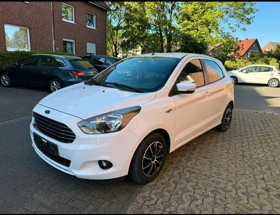Usata Ford Ka 85 CV (62 kW) 2017 Bianco Berlina