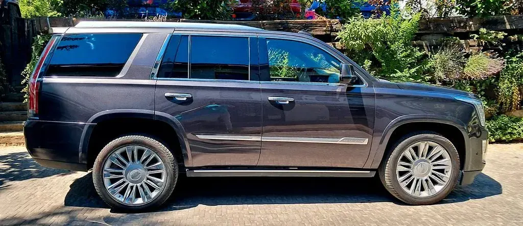 Gebraucht Cadillac Escalade 426 PS (313 kW) 2019 SUV