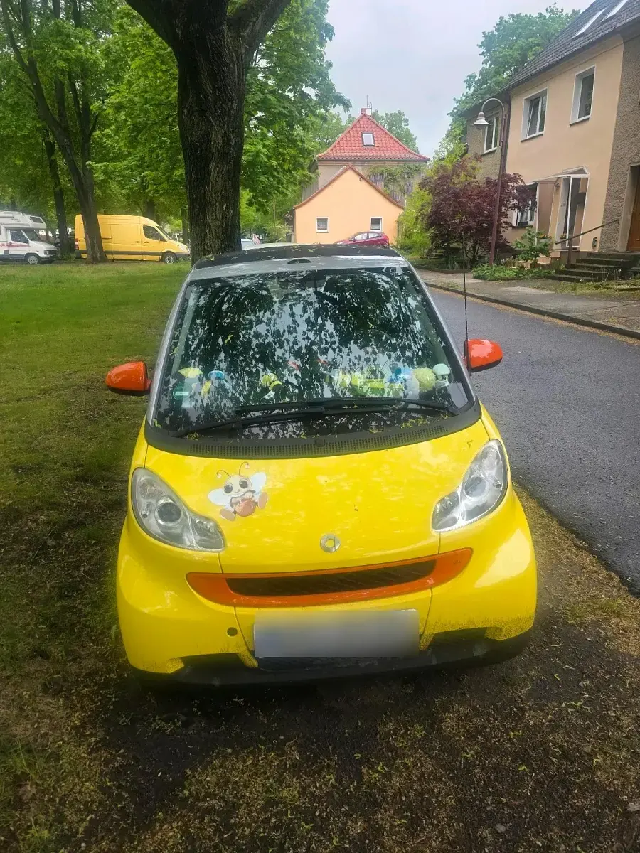 Usata Smart ForTwo Cabrio 61 CV (44 kW) 2007 Giallo Cabrio